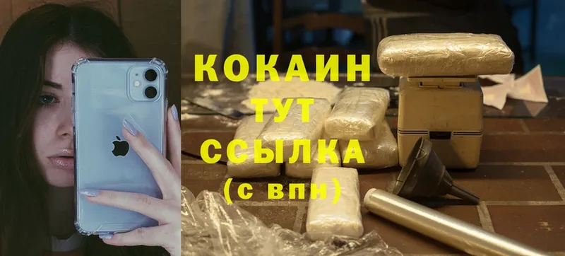 COCAIN Fish Scale Костомукша